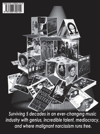 An Accidental Witness: To Music History Volume 1