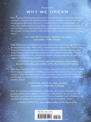 Why We Dream: The Transformative Power of Our Nightly Journey
