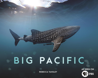 Item #200215 Big Pacific: Passionate, Voracious, Mysterious, Violent. Rebecca Tansley