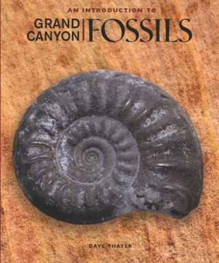 Item #200827 An Introduction to Grand Canyon Fossils. Dave Thayer