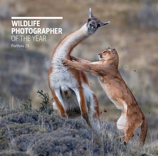 Item #201802 Wildlife Photographer of the Year: Portfolio 29. Rosamund Kidman Cox