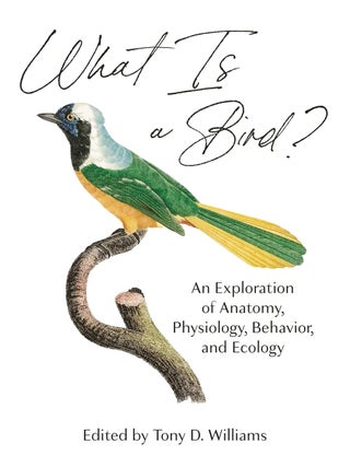 Item #203049 What Is a Bird? An Exploration of Anatomy, Physiology, Behavior, and Ecology. Tony...