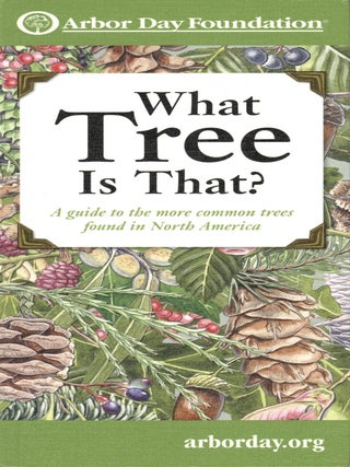 Item #203572 What Tree Is That?: A Guide to the More Common Trees Found in North America. Karina...